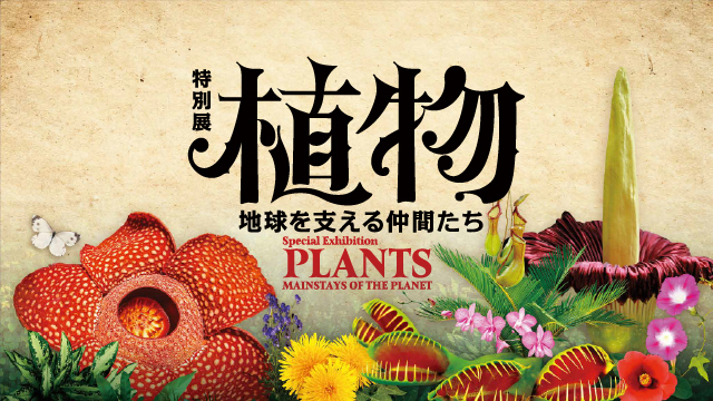 特別展「植物」オリジナルステッカープレゼント!!