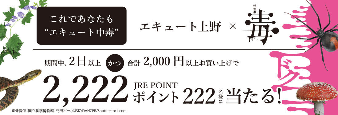 これであなたも「エキュート中毒」