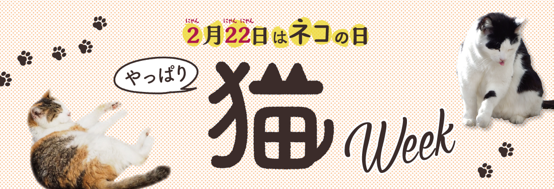 やっぱり猫WEEK