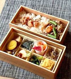 POPUP-SHOP　サクラの木